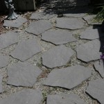 Post Condition Survey